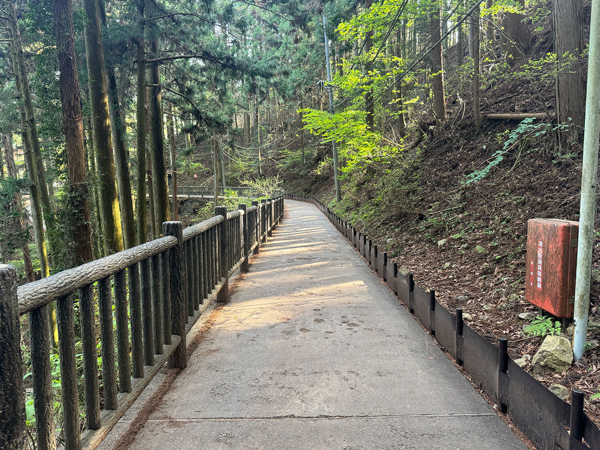 山の中の一本道