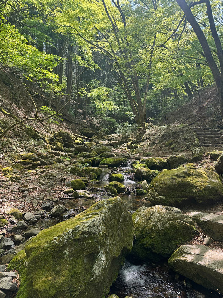 御岳山　ロックガーデンコース