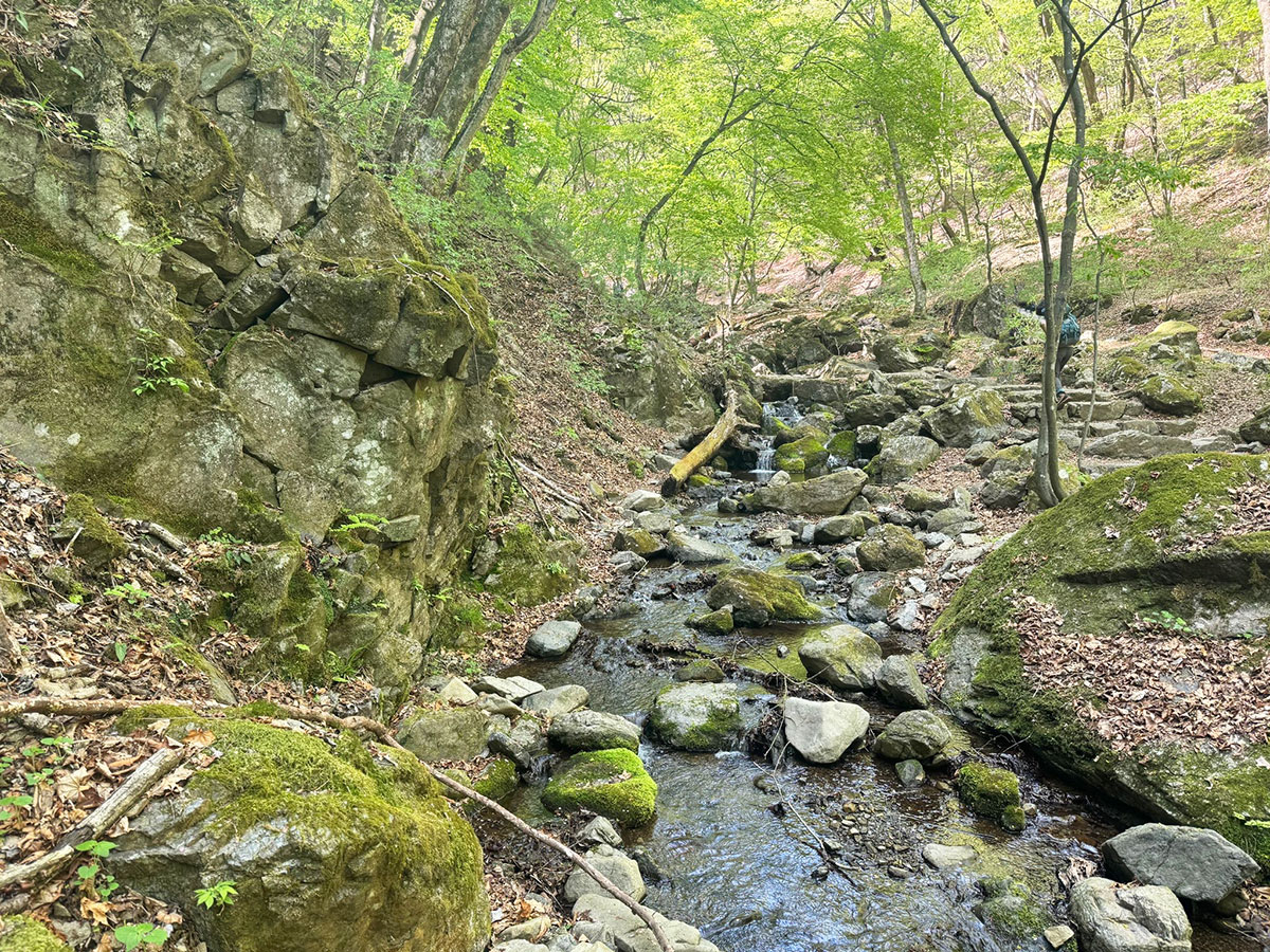 御岳山　ロックガーデン