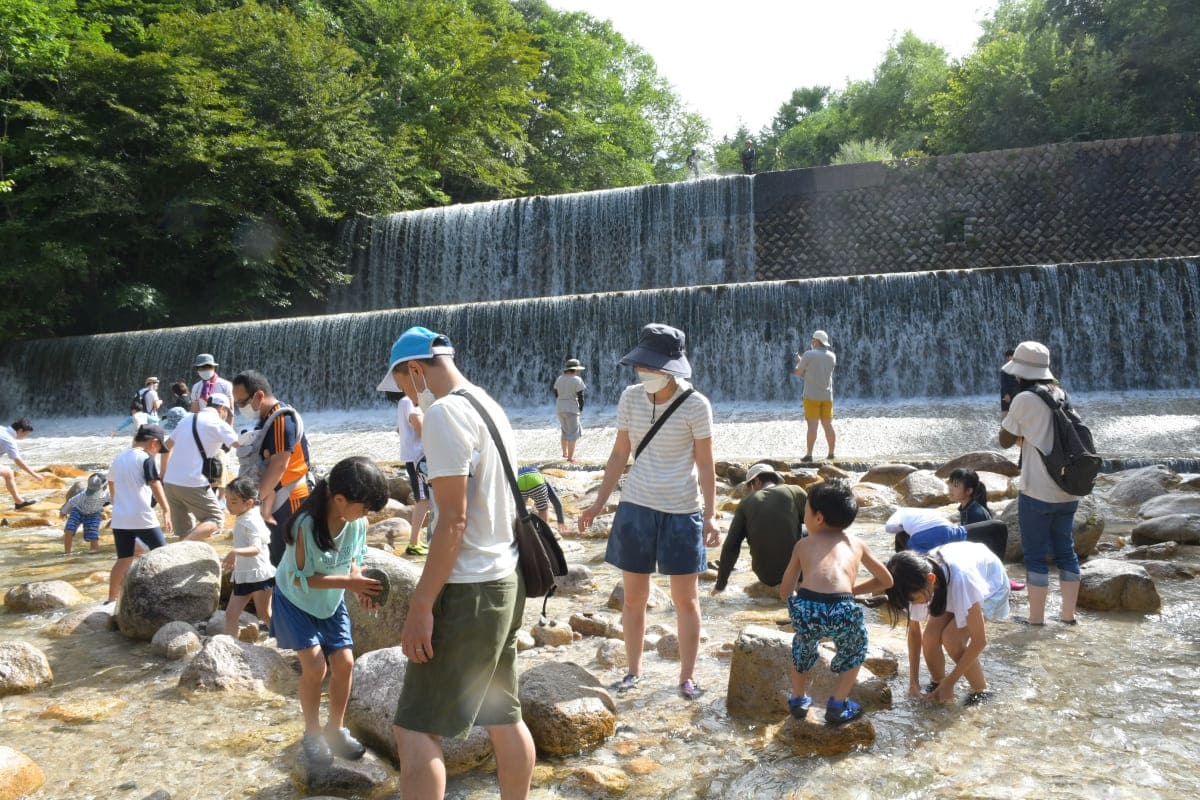 【国営アルプスあづみの公園 大町・松川地区】川遊びの様子