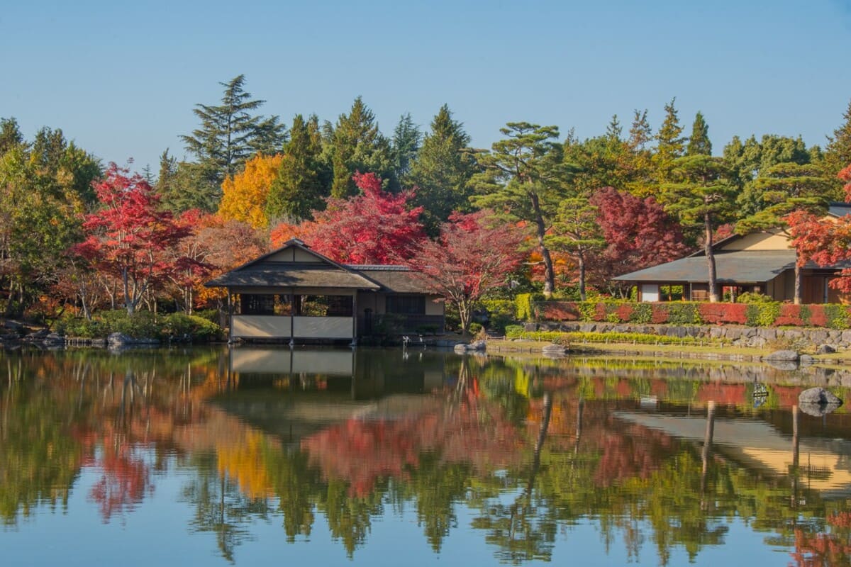 国営昭和記念公園　池の水面に映る紅葉