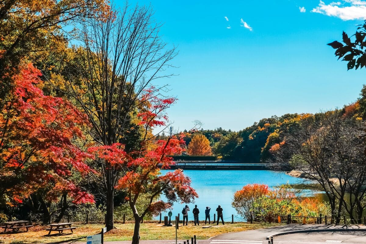 国営武蔵丘陵森林公園