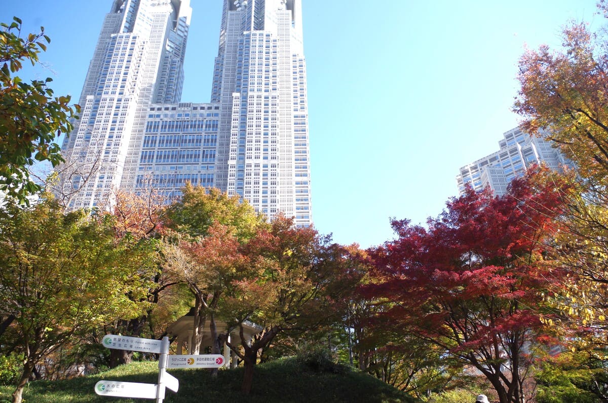 「新宿中央公園」富士見台（区民の森）