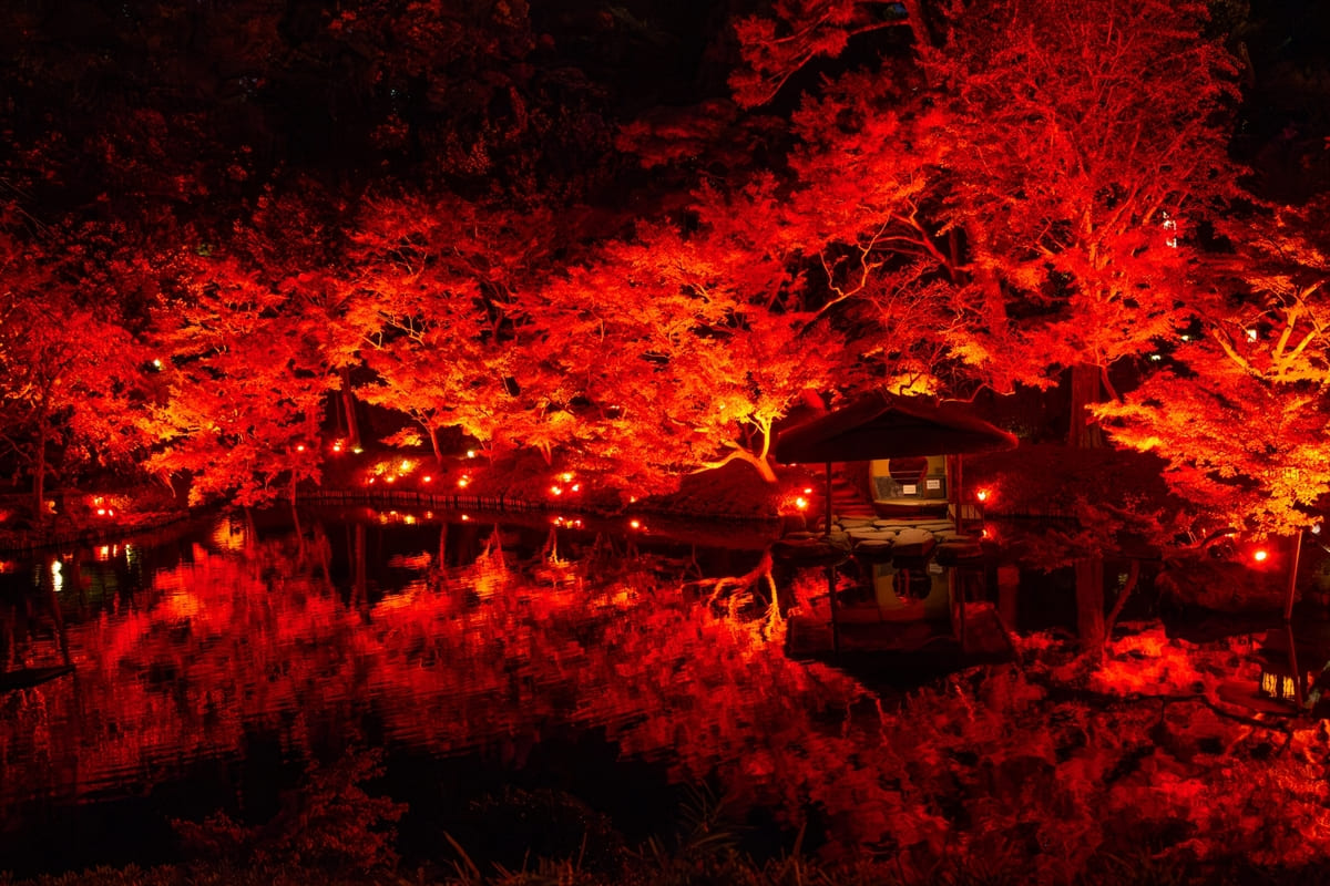 「TOKYO RED GARDEN 2024」