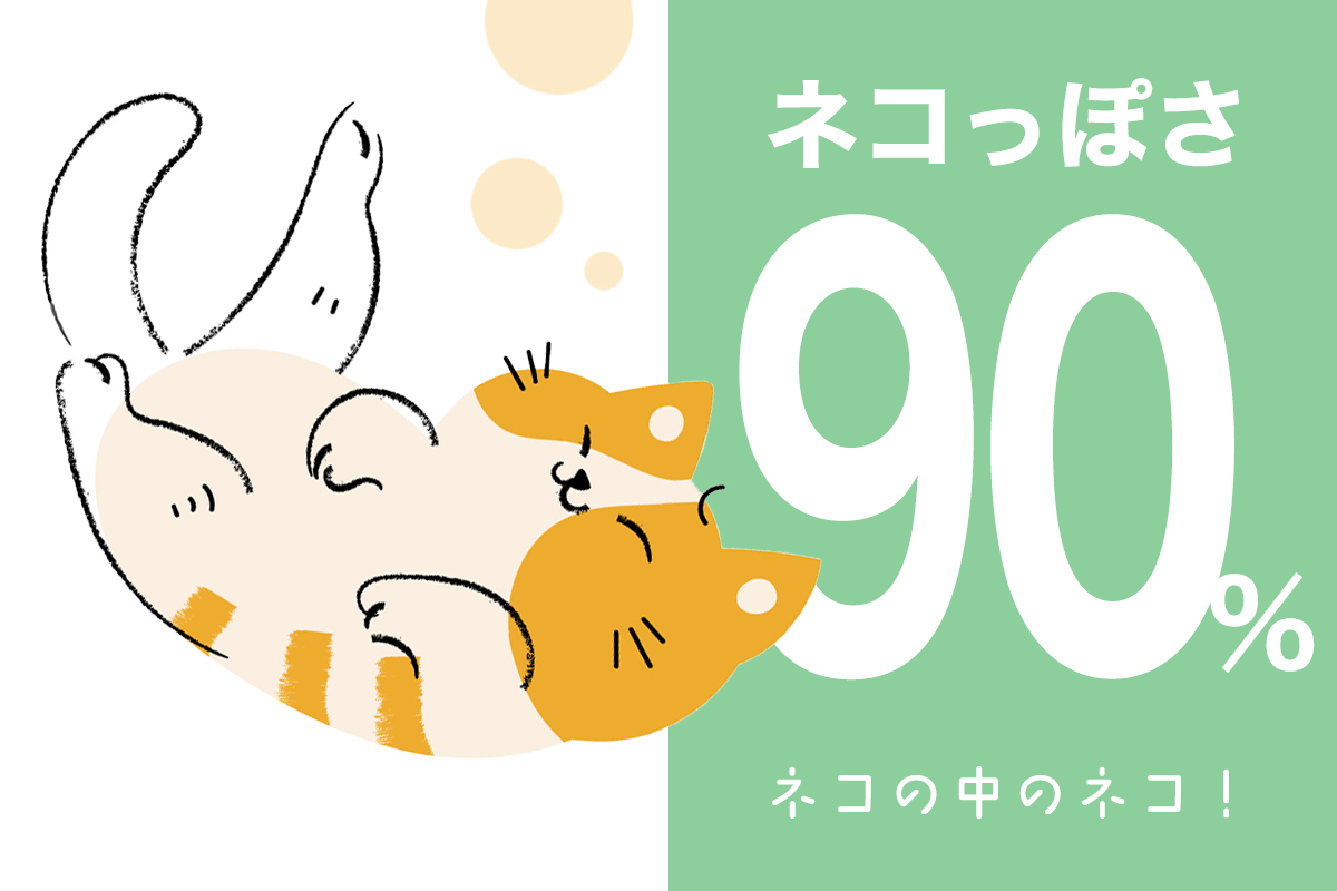 ネコっぽさ90％