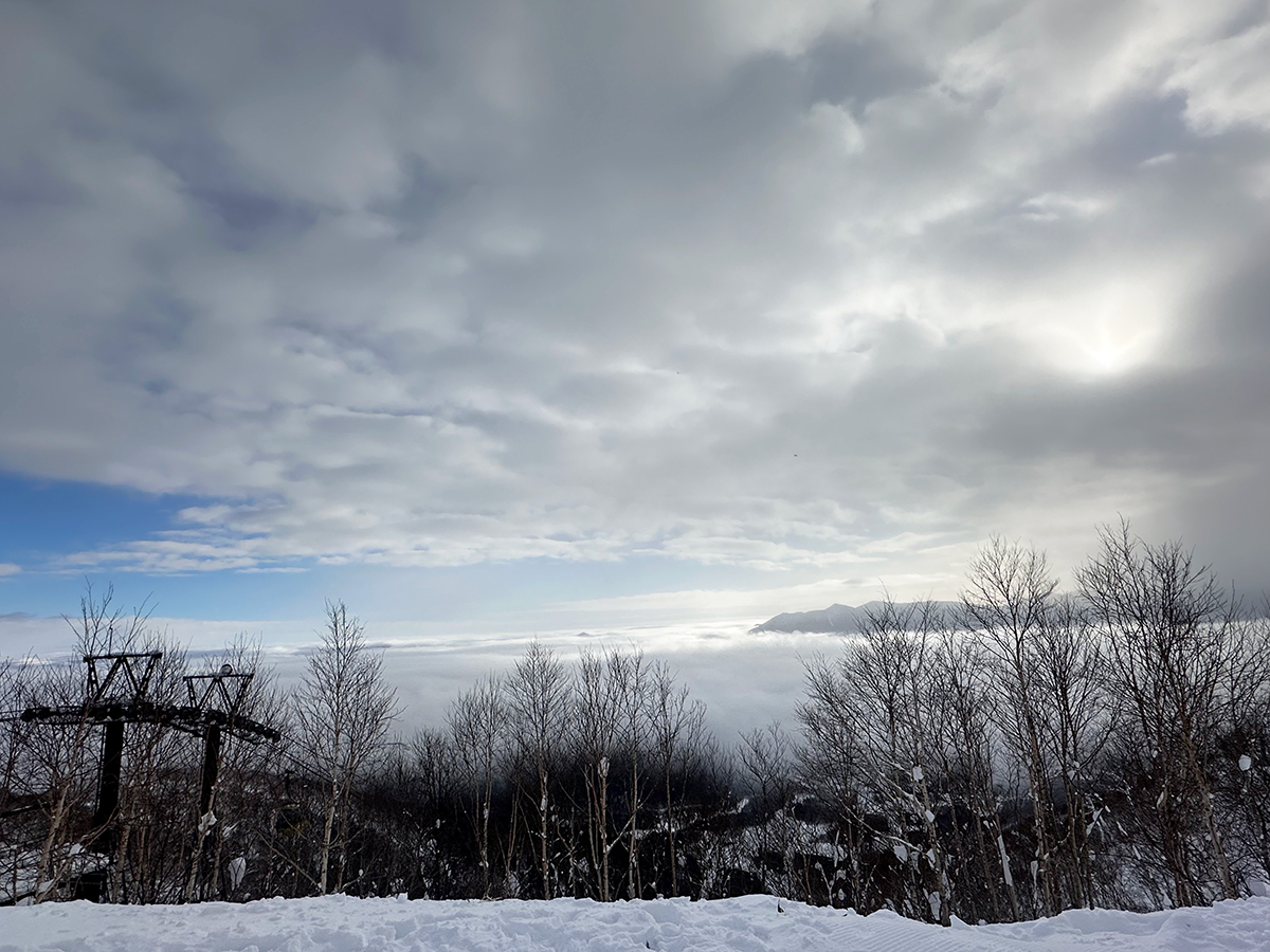 山頂からの景色