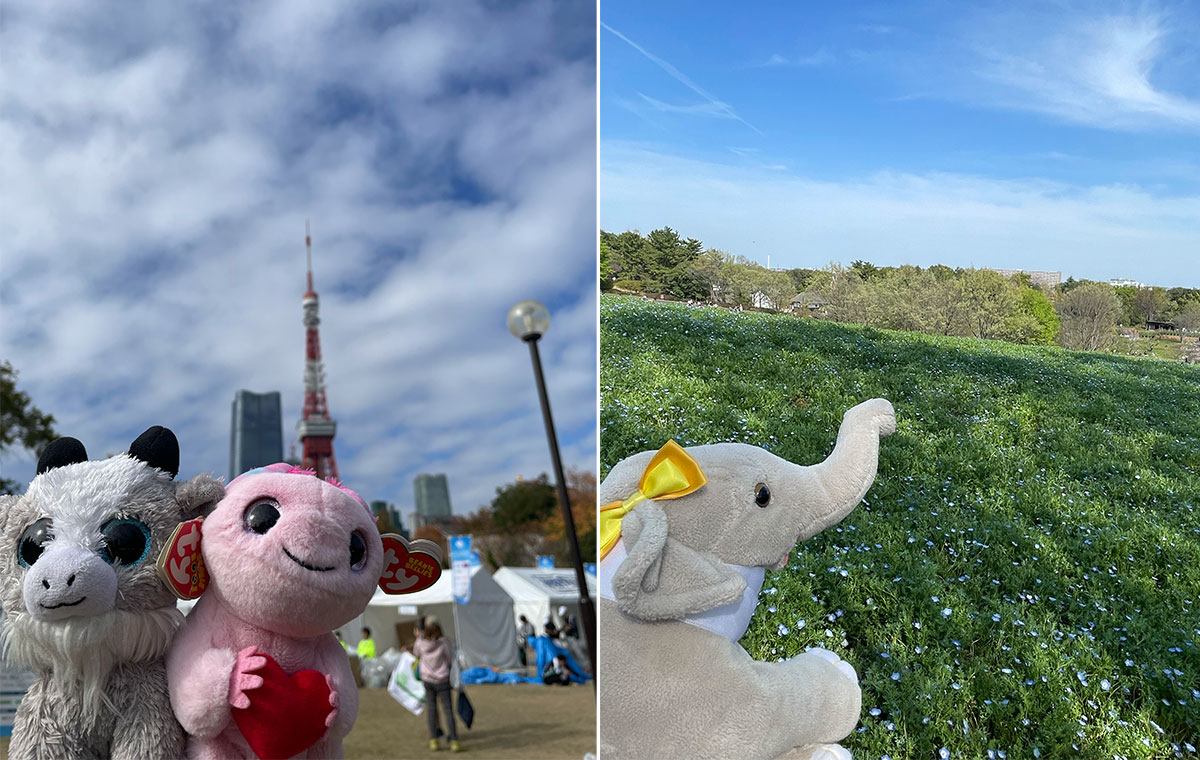 ぬいぐるみとのお出かけスナップ
