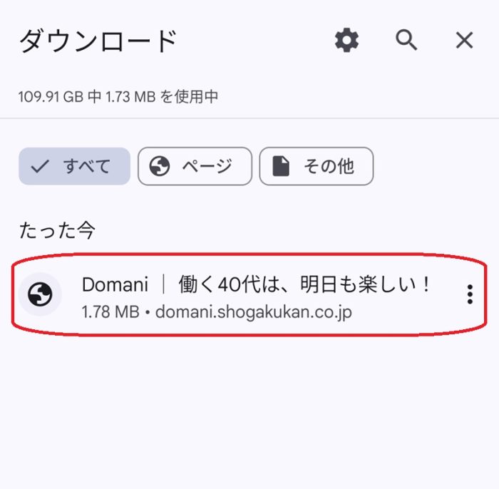 ダウンロードしたページを赤丸で囲んだ画像