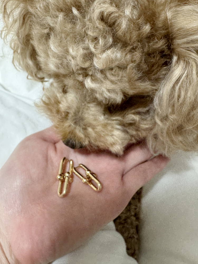 犬にピアスを見せている写真