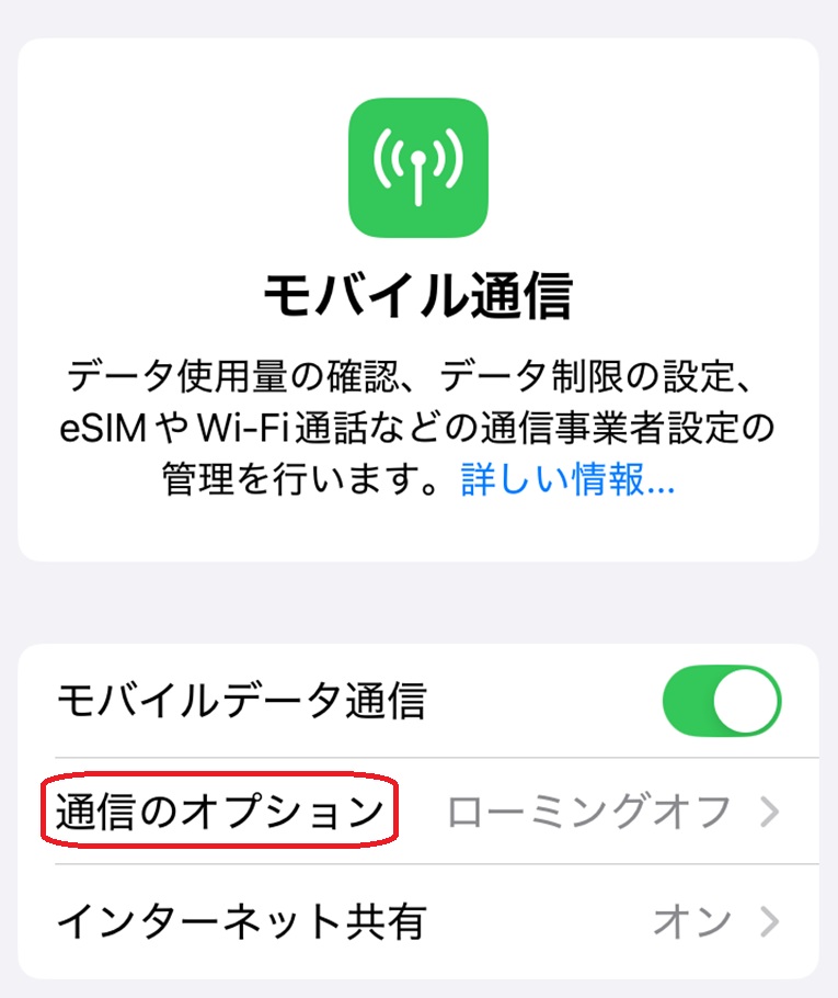 通信のオプションという部分が赤で囲まれている画像