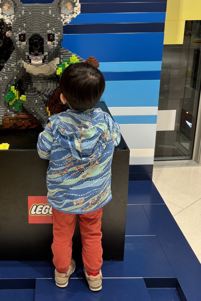 ウインドブレーカーを着た子供の後ろ姿の写真