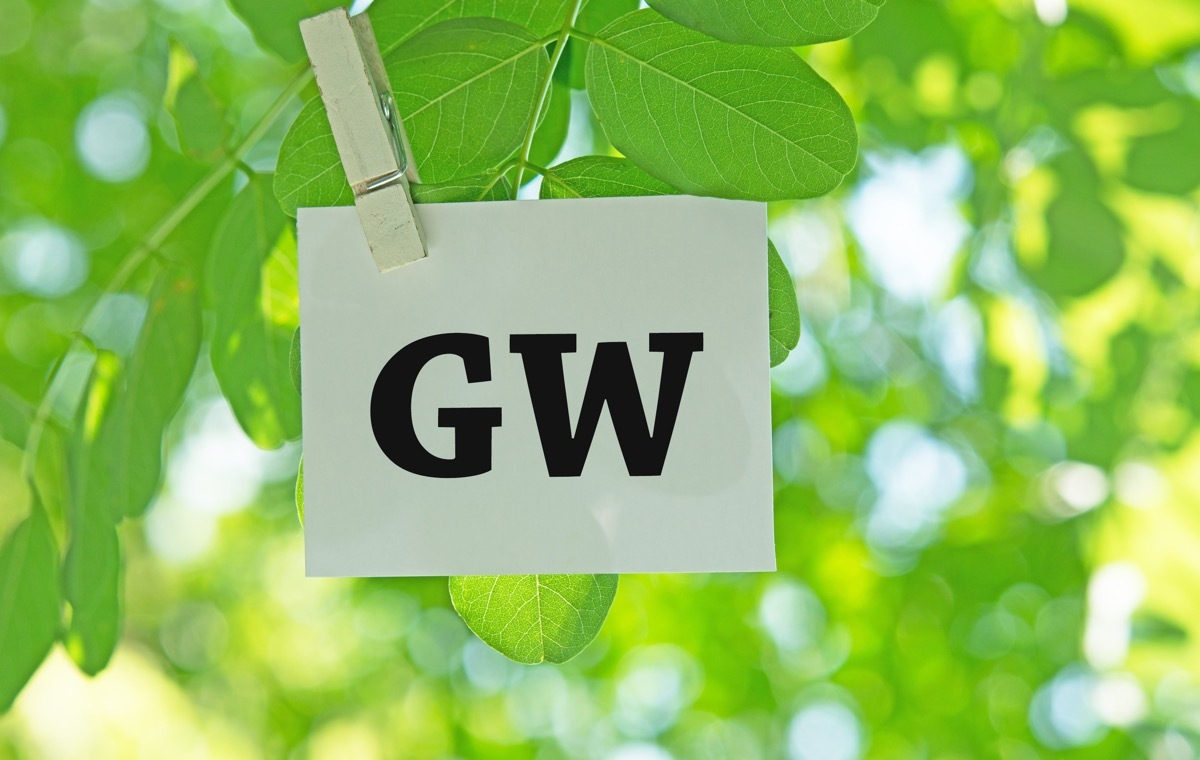 GW 新緑