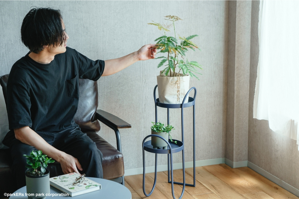 男性が観葉植物に触れている写真