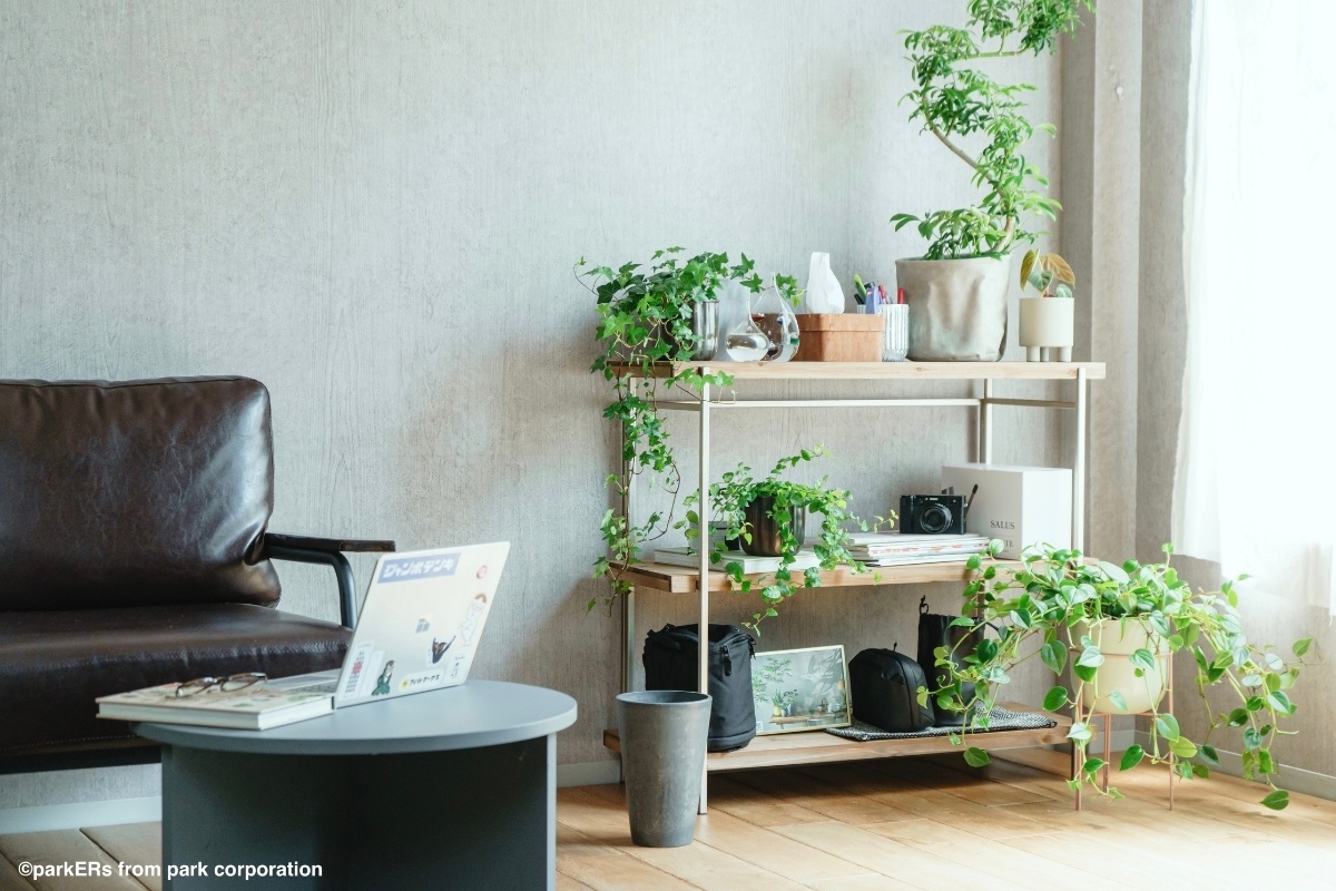 ノートPCなどがある部屋に植物がたくさん置かれている写真