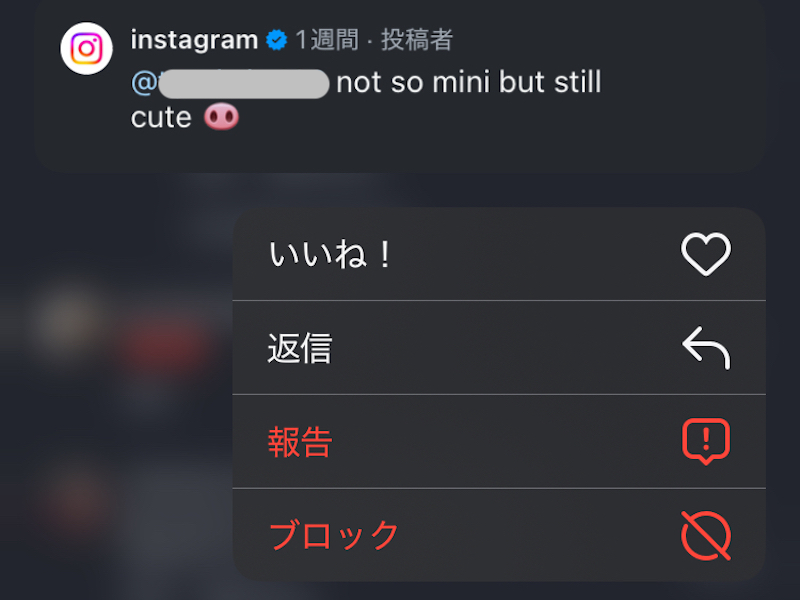 インスタアプリでコメントを長押しした画面