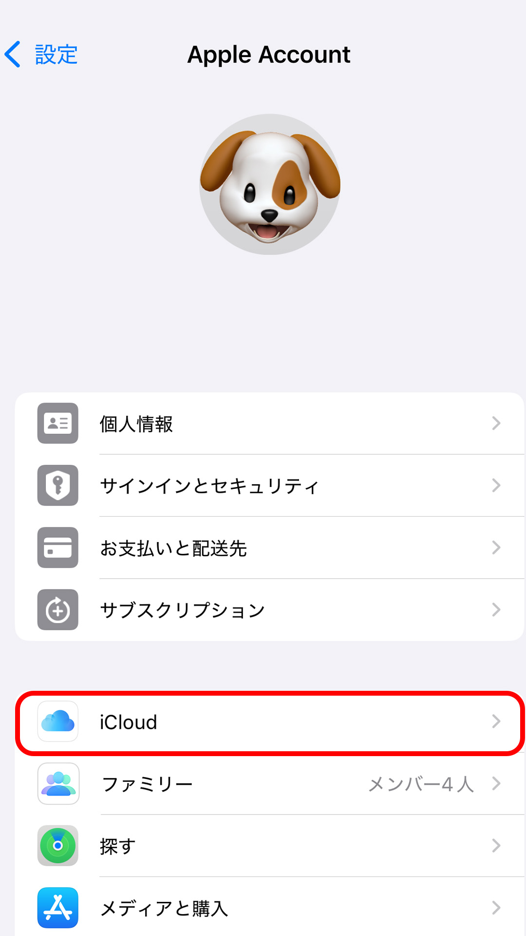 iPhoneのアカウント設定画面