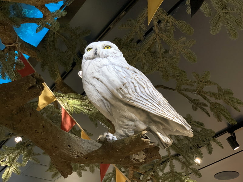 ハリー・ポッター ショップ 原宿