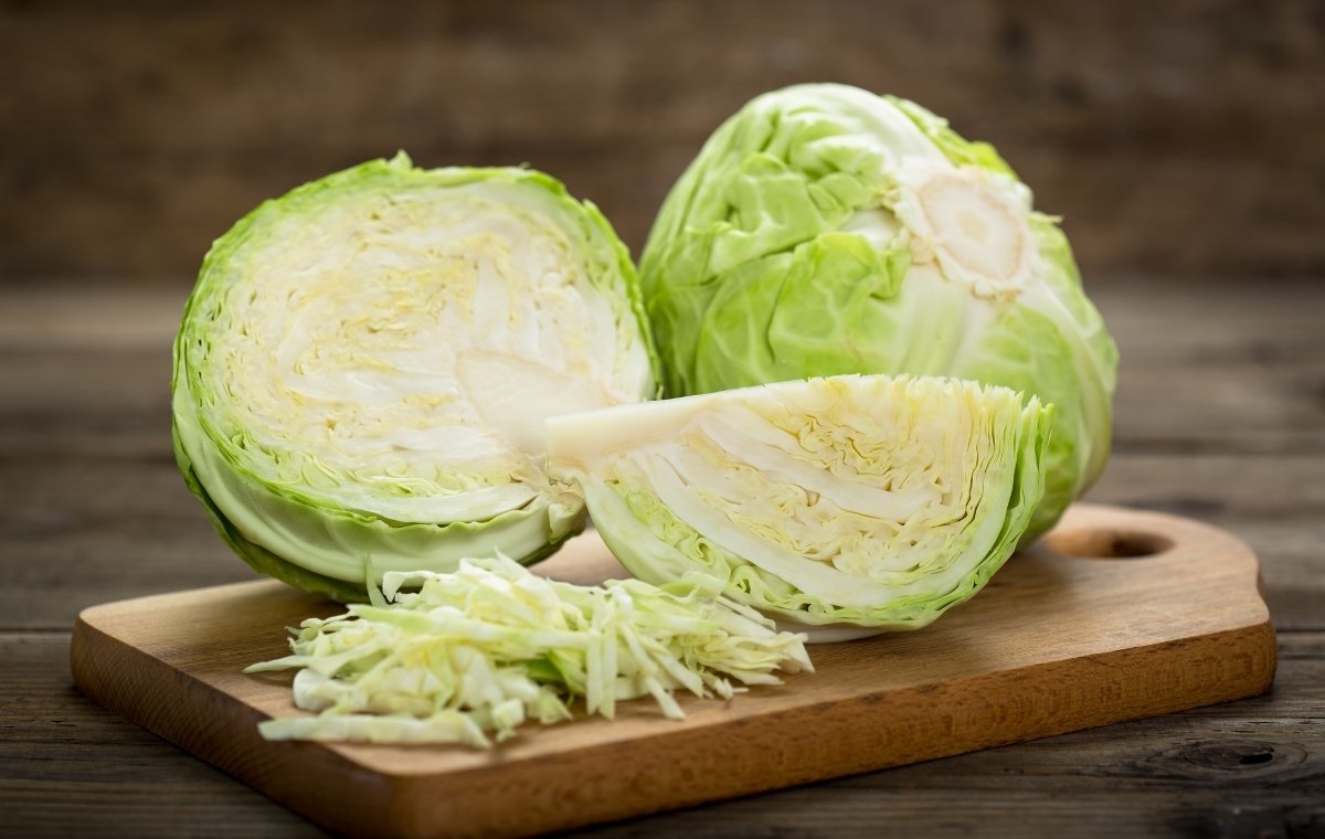 キャベツの写真