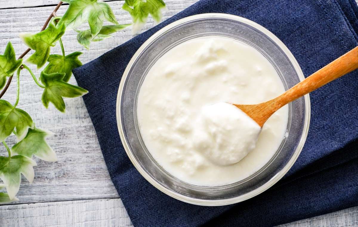 ヨーグルトの写真