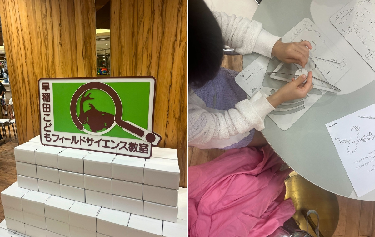 早稲田子どもフィールドサイエンス教室の看板の写真とモビールを作っている子どもの写真を並べた画像