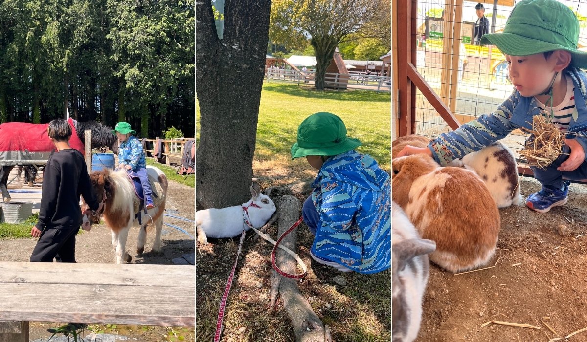 ポニーに乗ったり、うさぎに触れたりして戯れる子どもの写真