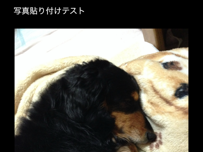 コピペが成功した画面のスクリーンショット