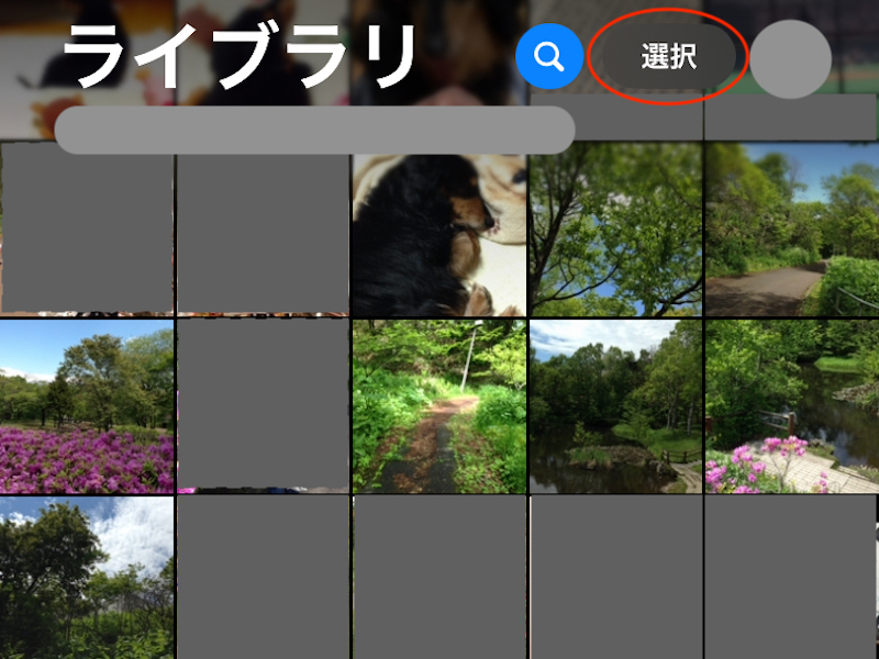 選択ボタンのスクリーンショット