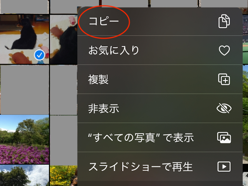 コピーの部分を赤で囲んだ写真