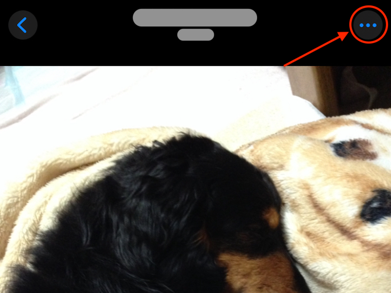 3点マークを赤で囲んでいるスクリーンショット