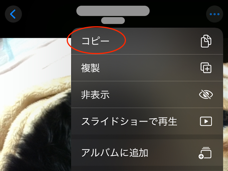 コピーと書かれた部分を赤丸で囲んでいるスクリーンショット