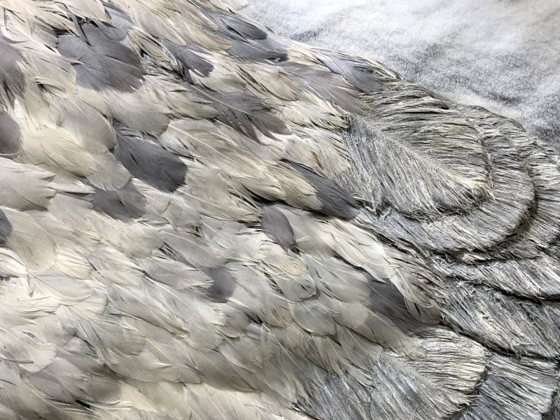 ハリー・ポッター ショップ 原宿