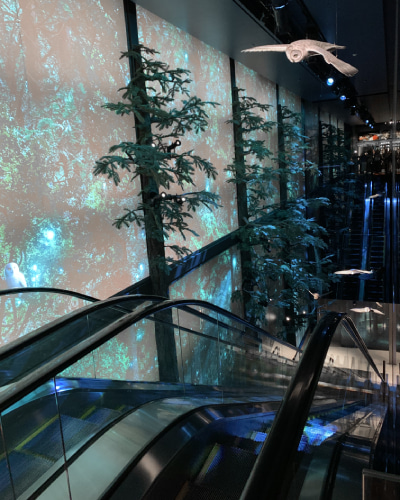 ハリー・ポッター ショップ 原宿