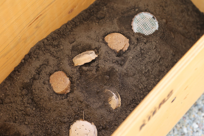 コーヒーポッドをコンポスト処理している写真