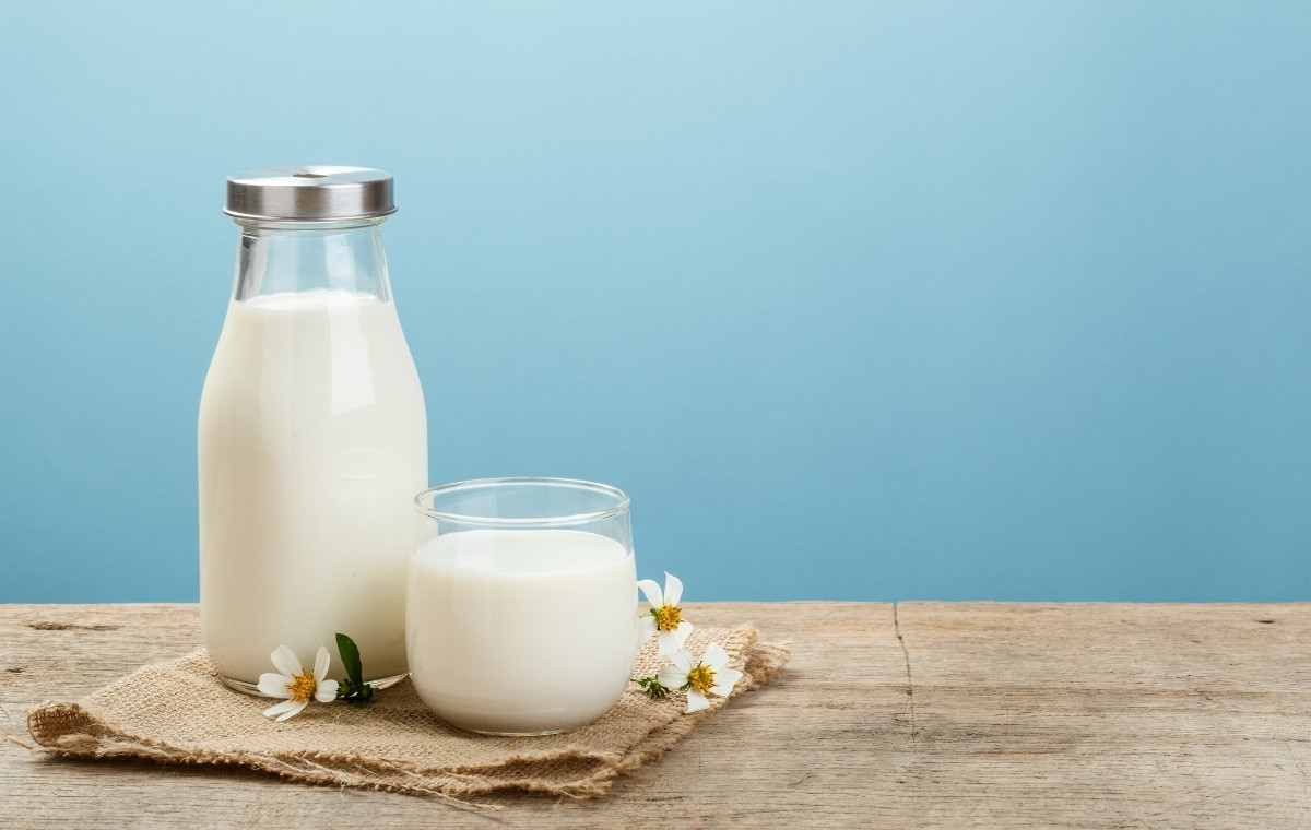 牛乳の写真