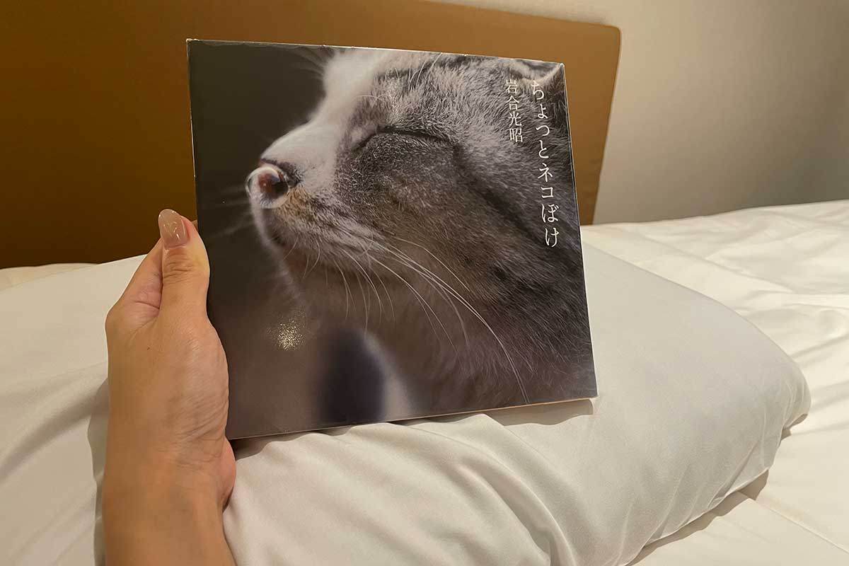 岩合光昭「ちょっとネコぼけ」