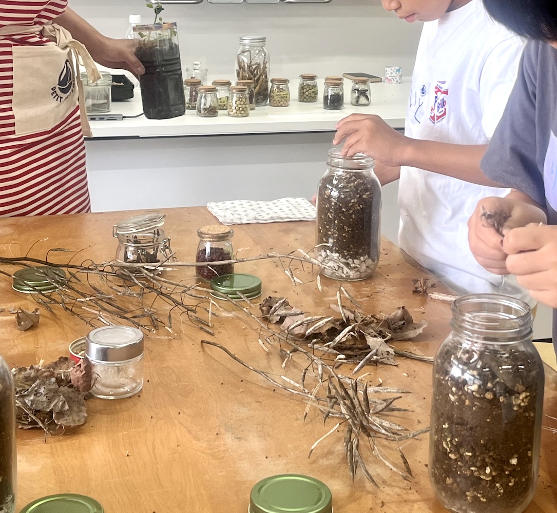 自然への興味が広がる“プチバトー”のサマースクール