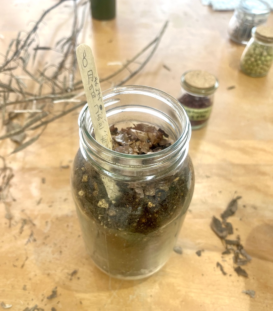 コンパニオンプラネッツ