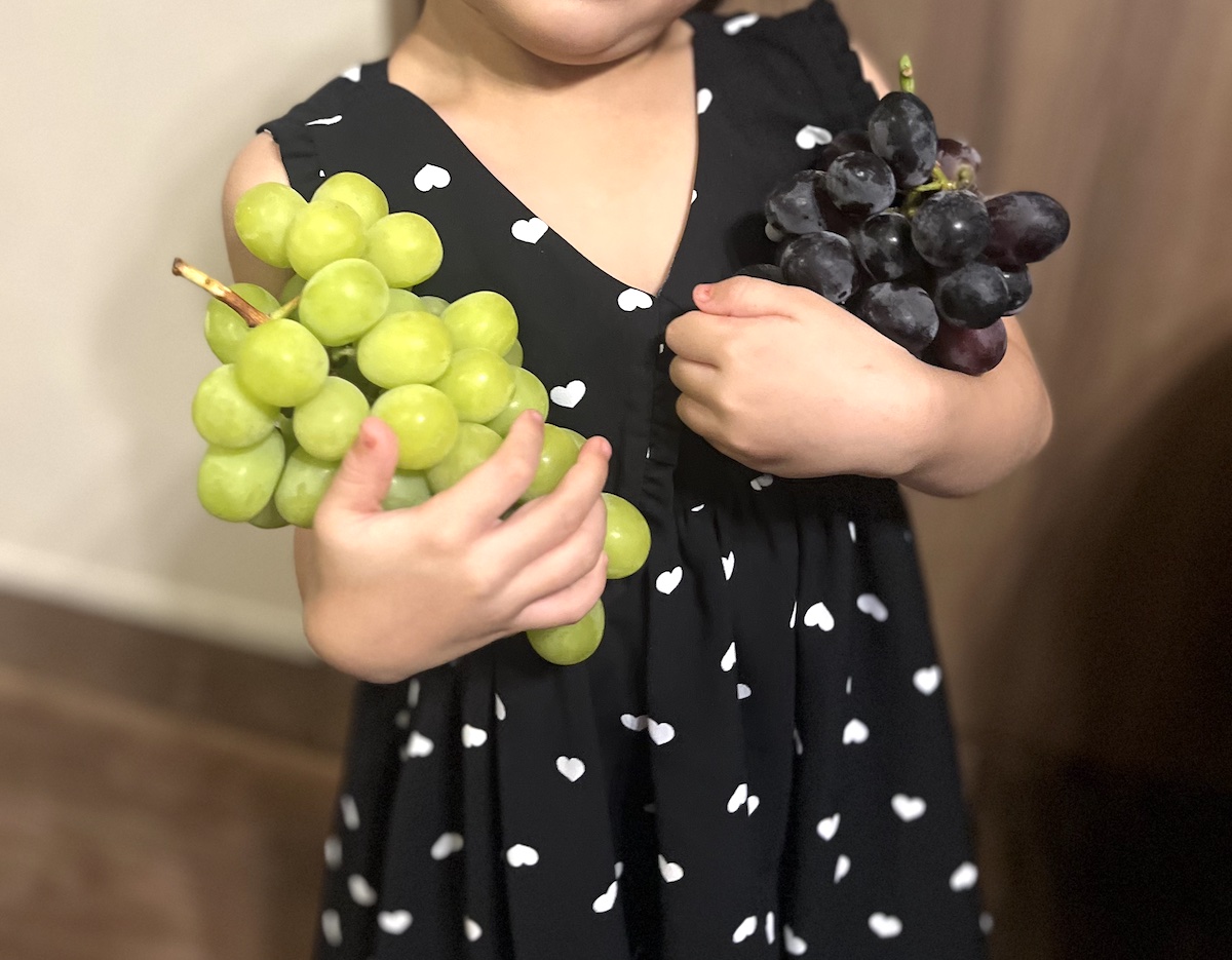 シャインマスカットとナガノパープル