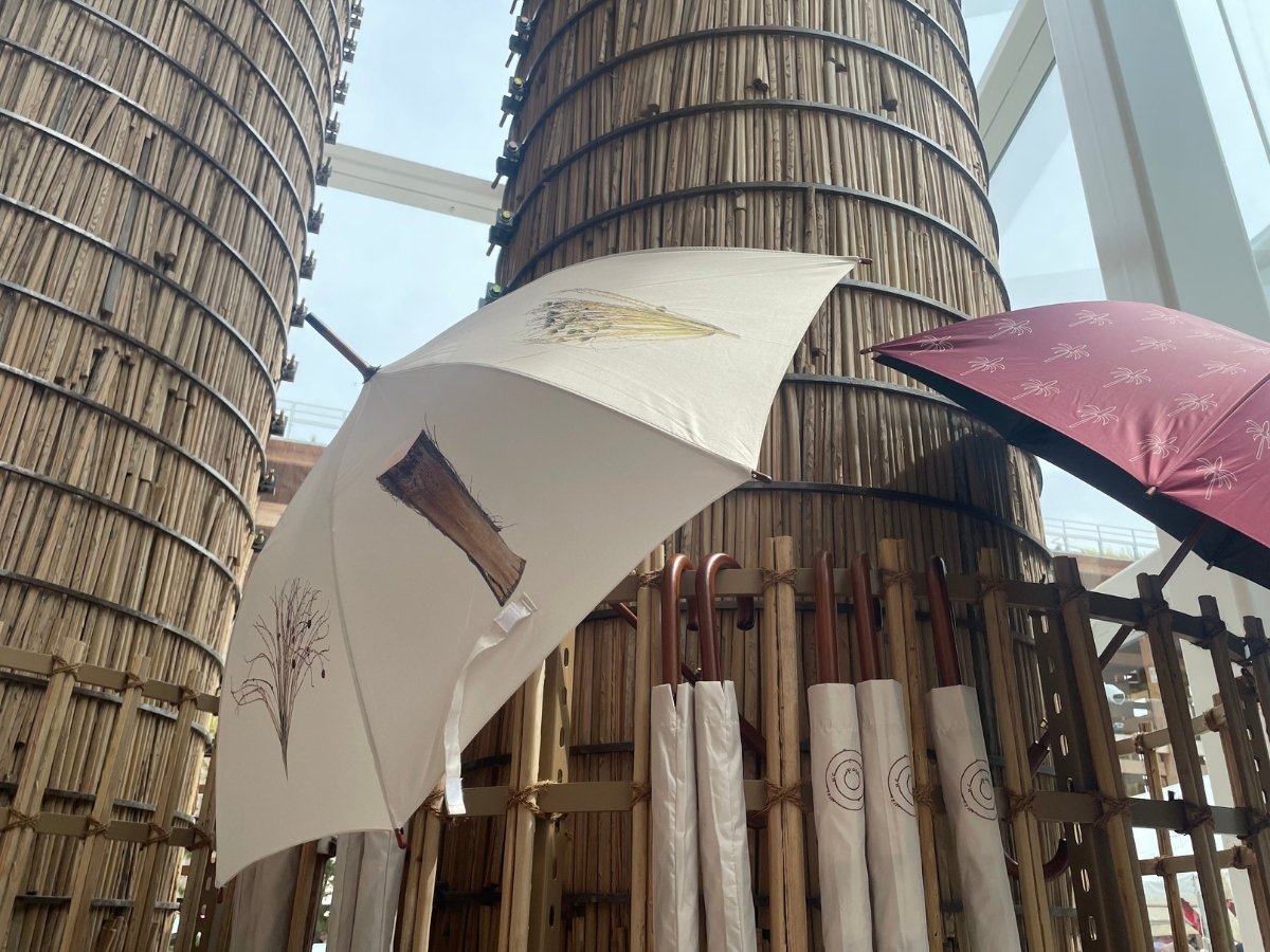 二つの傘の写真