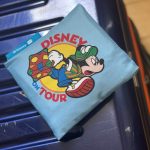 スーツケースの上に置かれたエコバッグ