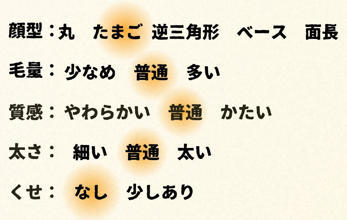 このモデルの顔型や髪質