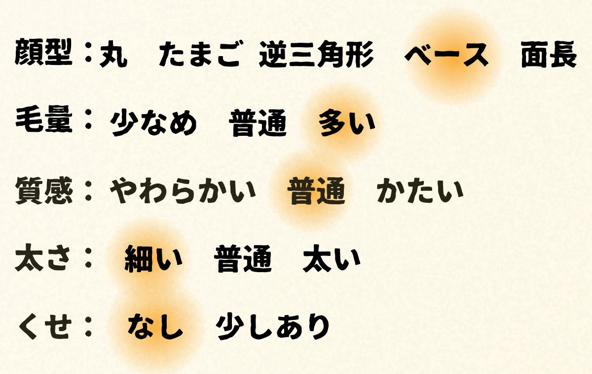 このモデルの顔型や髪質