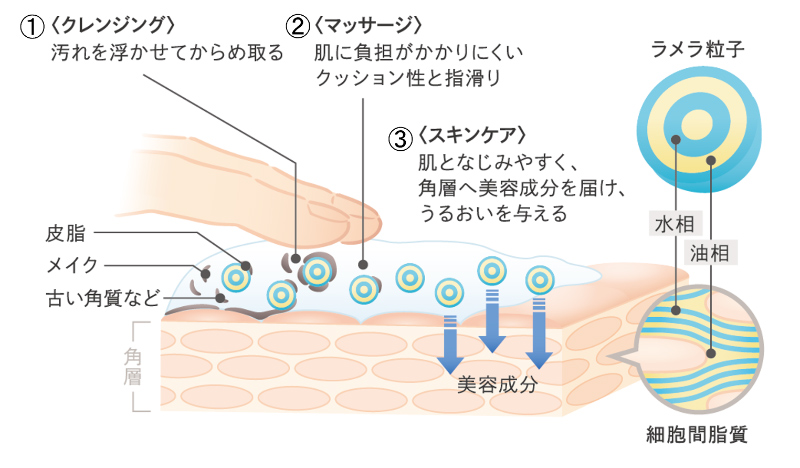 シーボンのクレンジングクリームの使用イメージイラスト