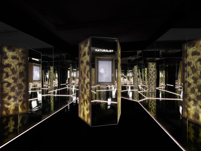 「パンテール」のデザインコード