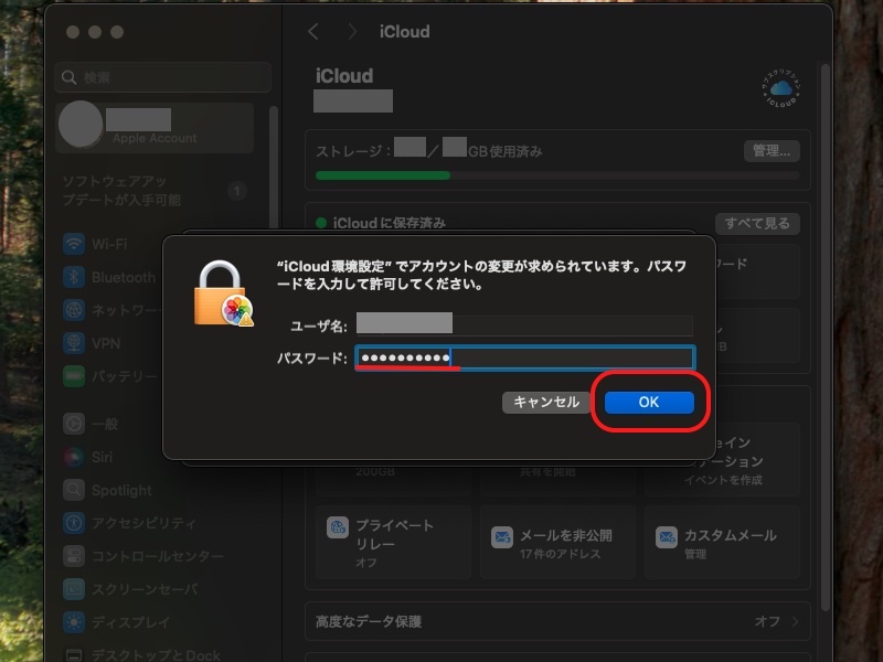 パスワードを入れてOKを選択している画面