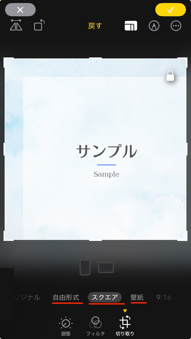 切り取り形式指定画面を