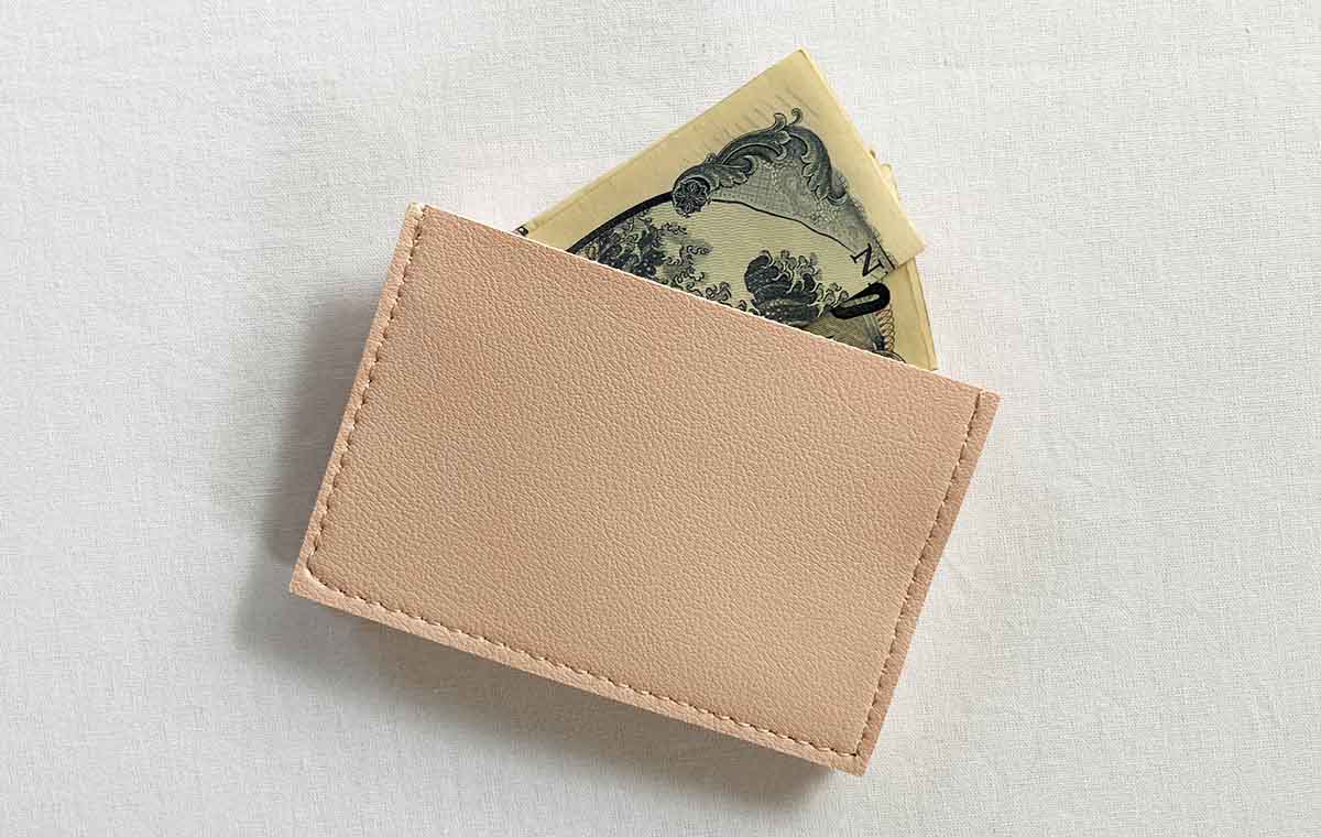 ダイソーの「バネロカードケース」
