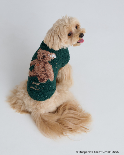 テディベア柄ペット用ウェア