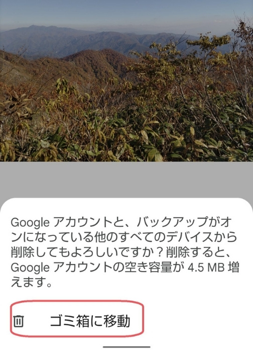 削除の確認画面のスクリーンショット。ゴミ箱ボタンが赤線で囲まれている