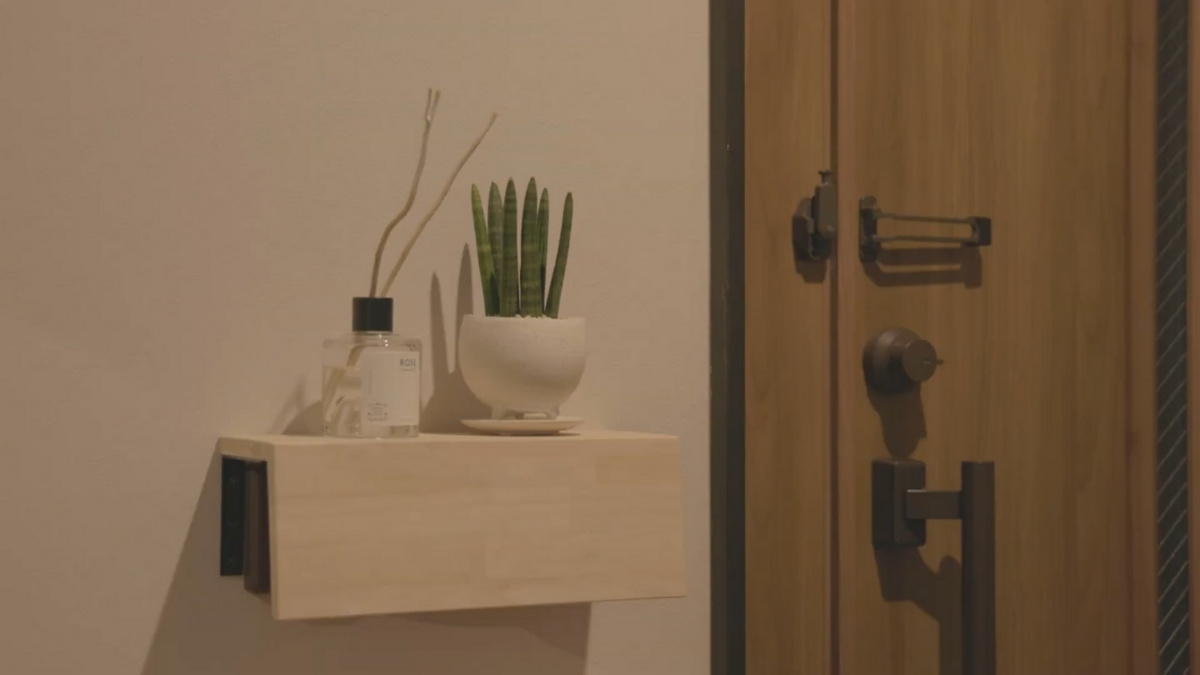 室内の棚に置かれた植物の写真